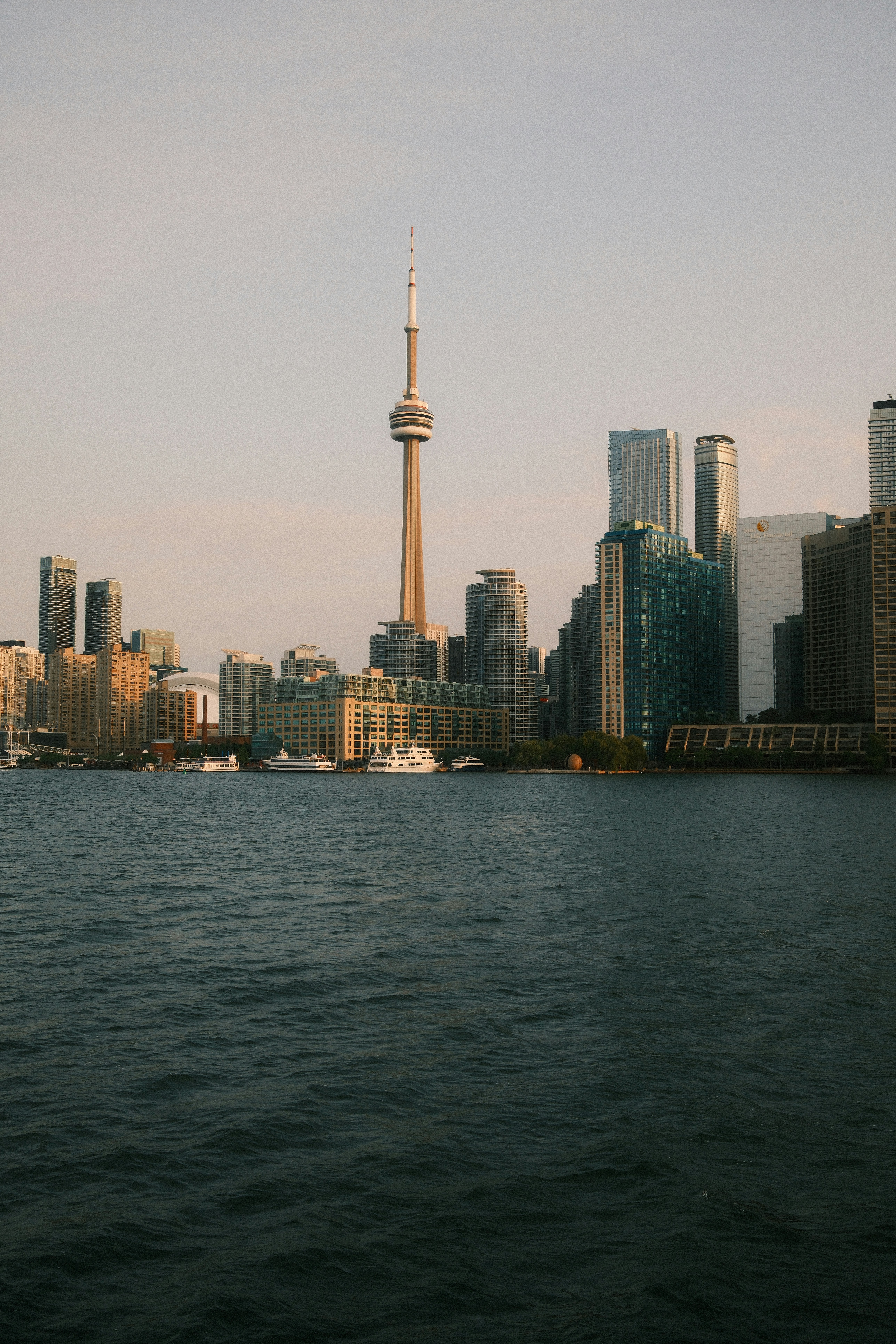 TIFF 2025